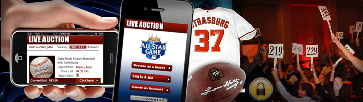 whatwedo_auctionconnex_header